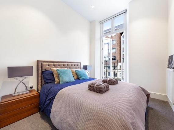 Harley Street Luxury Snug Lägenhet London Exteriör bild