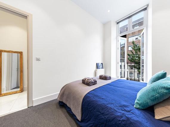 Harley Street Luxury Snug Lägenhet London Exteriör bild