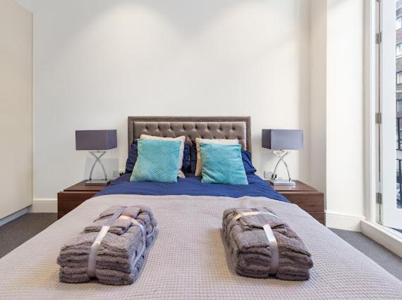 Harley Street Luxury Snug Lägenhet London Exteriör bild